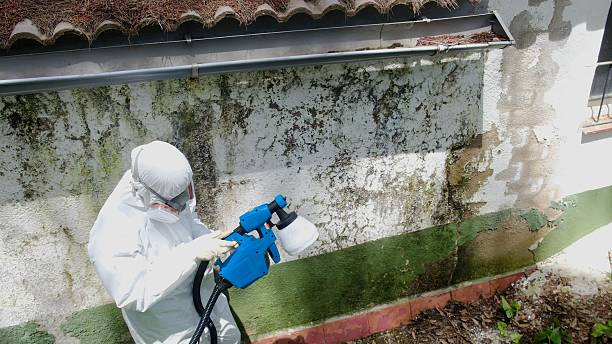 Top rated local Crawl Space Mold Remediation specialists in York Haven, PA